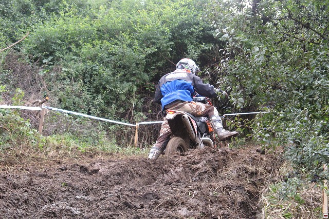img00028.jpg