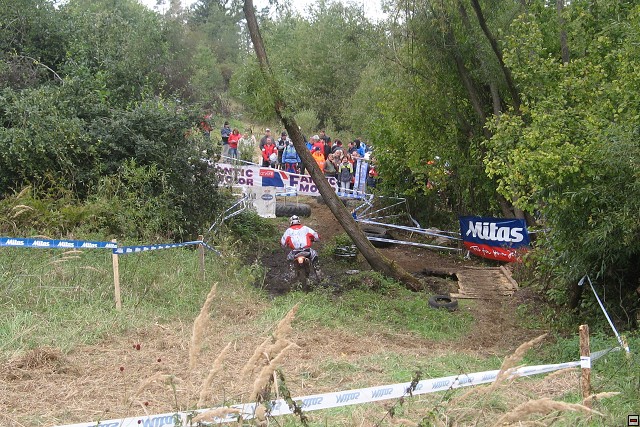 img00031.jpg