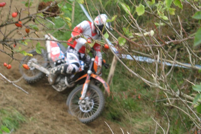 img00036.jpg