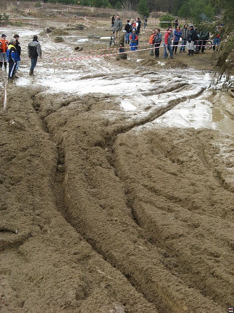 img00015.jpg