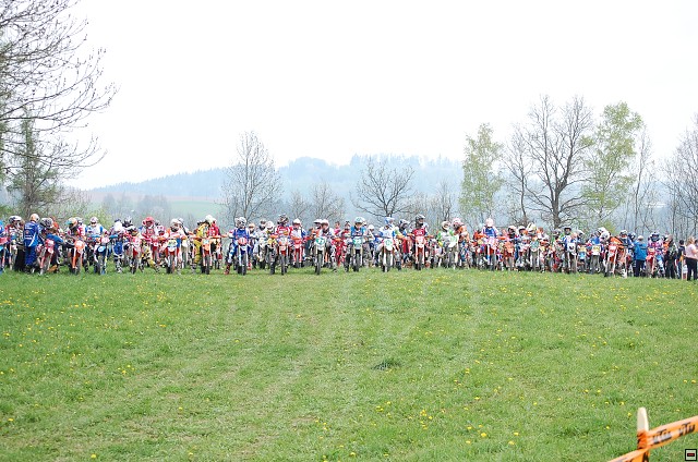 img00010.jpg