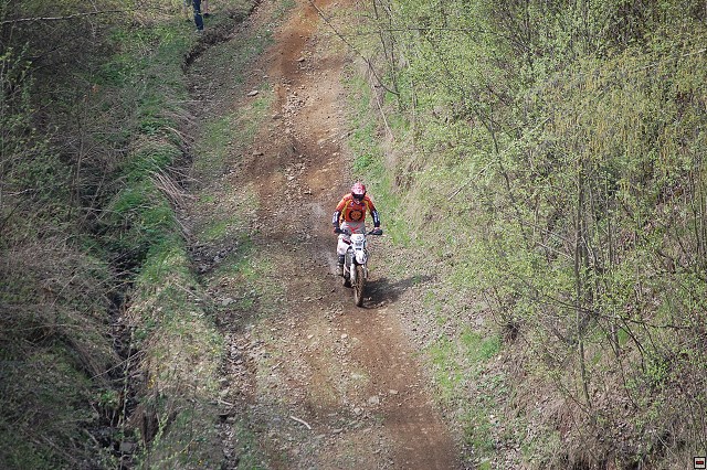 img00016.jpg