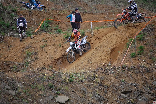 img00042.jpg