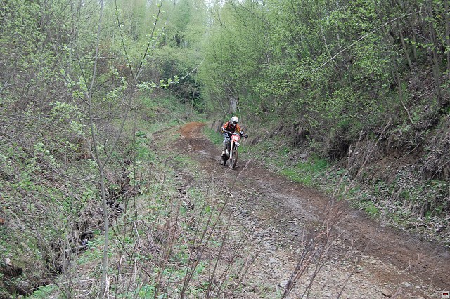 img00043.jpg