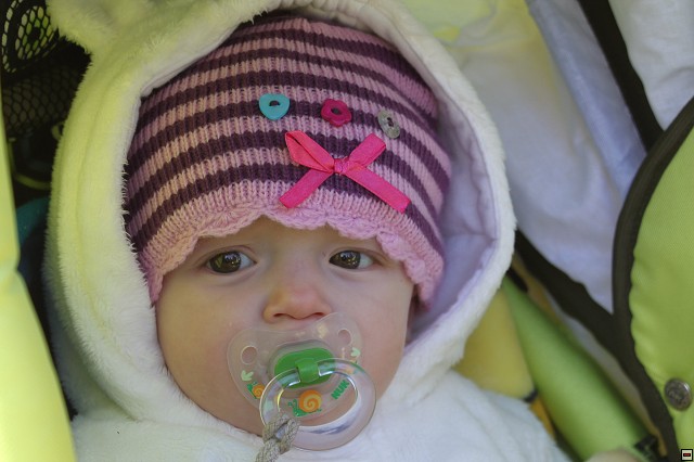 img00001.jpg