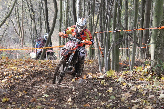 img00030.jpg