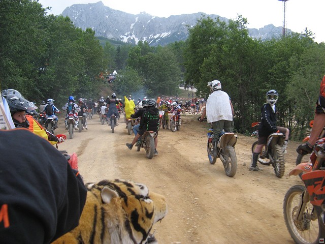 img00014.jpg