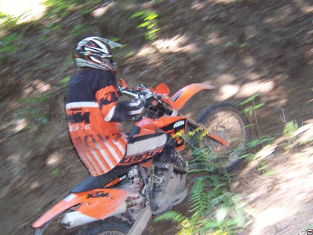 img00005.jpg