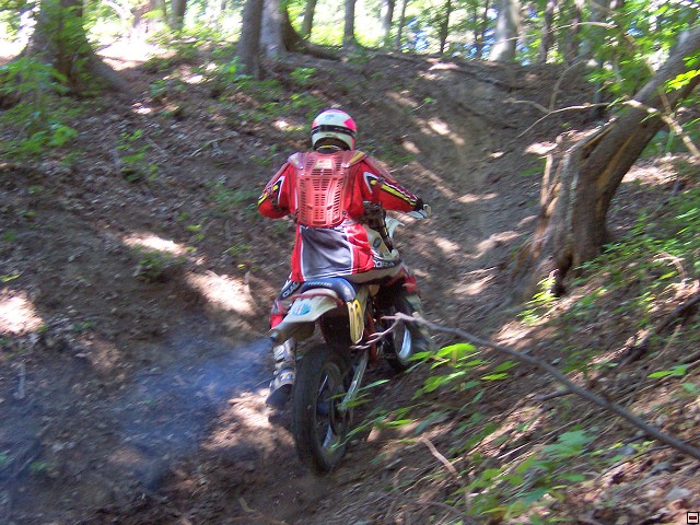img00007.jpg