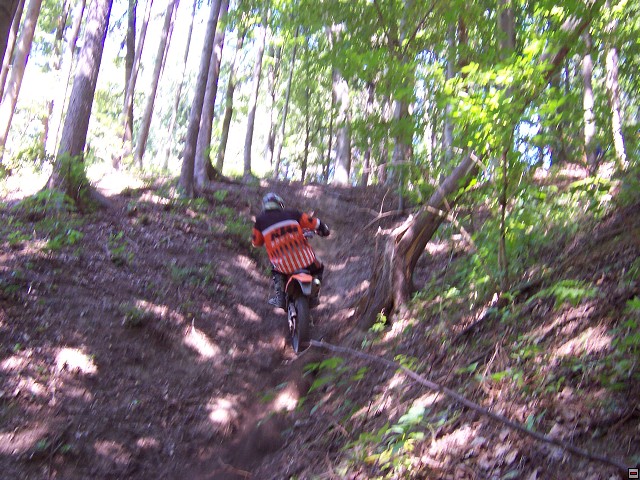 img00008.jpg