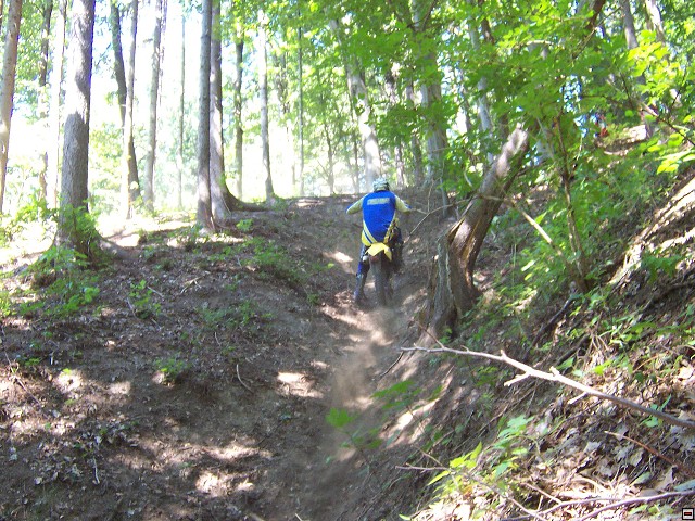 img00017.jpg