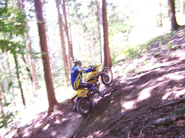 img00027.jpg