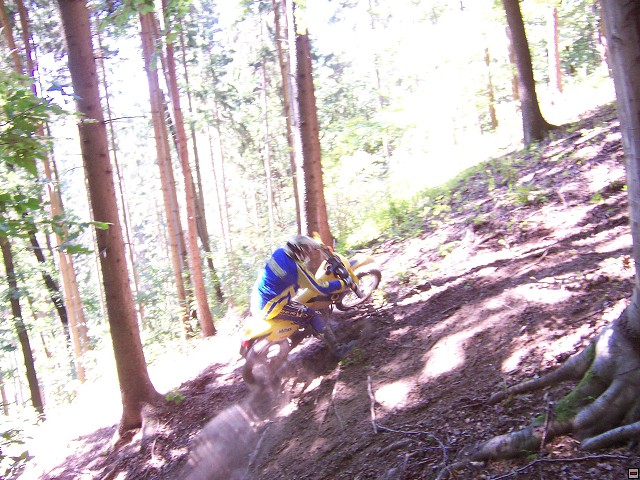 img00028.jpg
