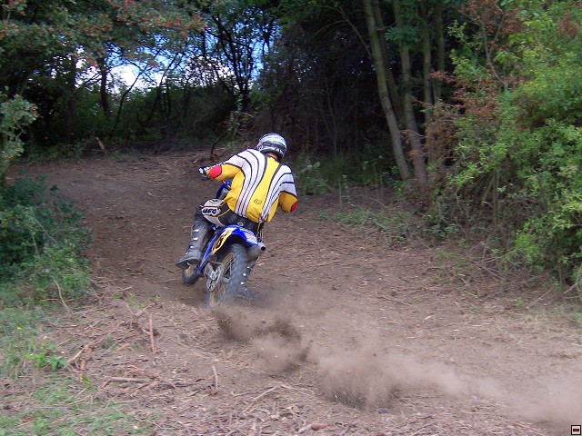 img00009.jpg