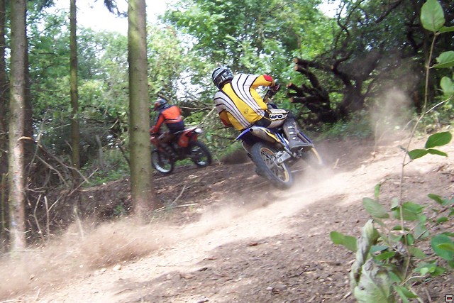 img00024.jpg