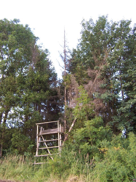 img00001.jpg