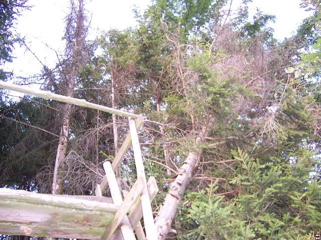 img00002.jpg