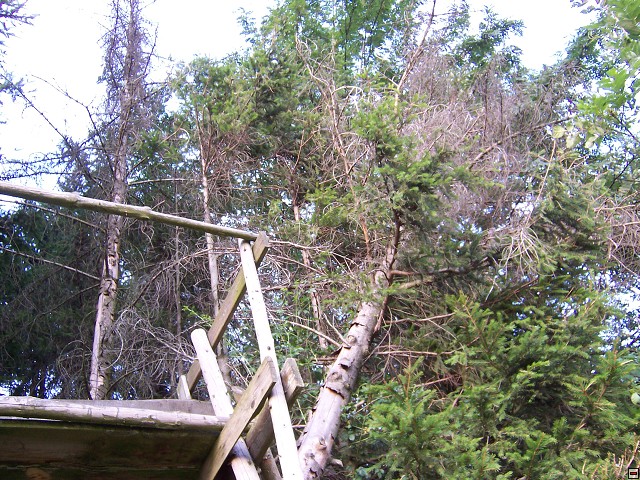 img00003.jpg