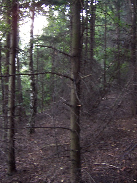 img00006.jpg