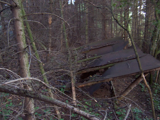 img00009.jpg