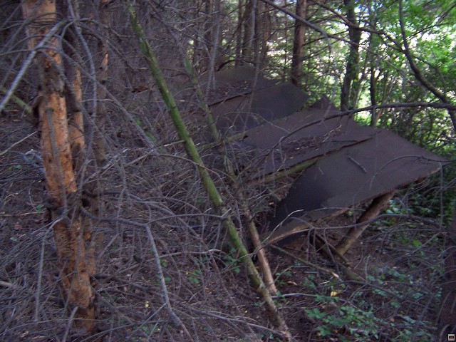 img00010.jpg