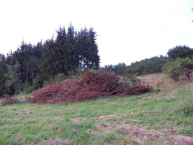 img00016.jpg
