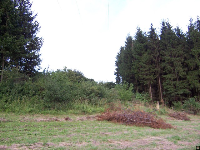 img00017.jpg