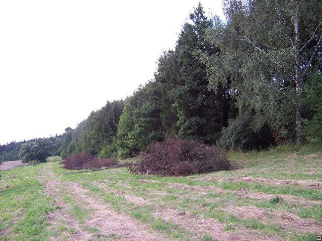 img00018.jpg