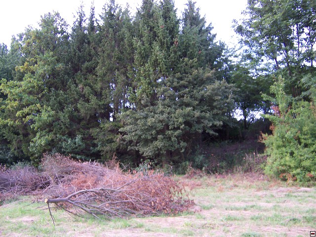img00020.jpg