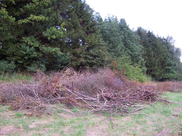 img00021.jpg