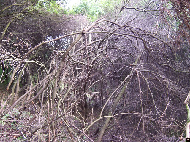 img00022.jpg