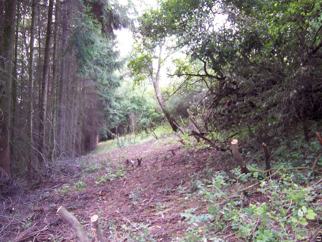 img00023.jpg