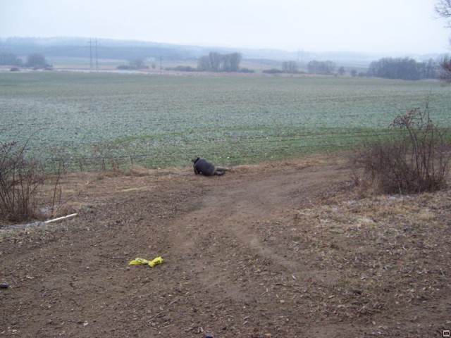 img00049.jpg