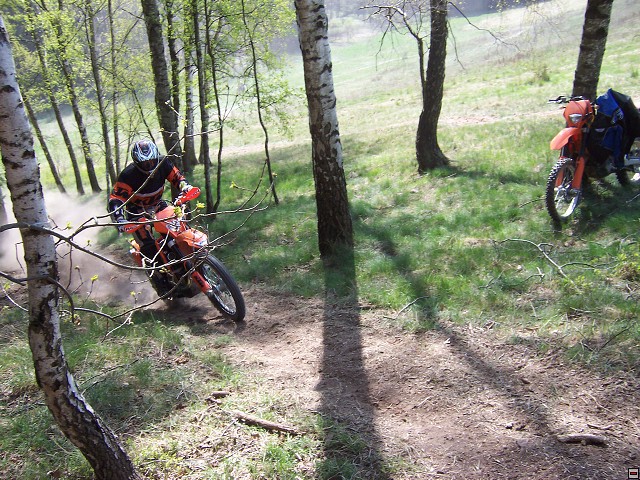 img00006.jpg
