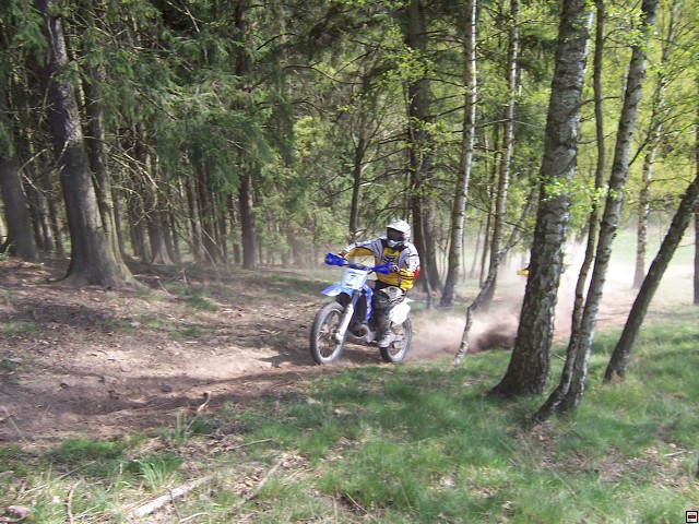 img00019.jpg
