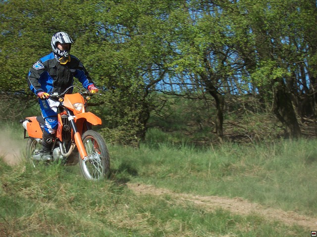 img00037.jpg