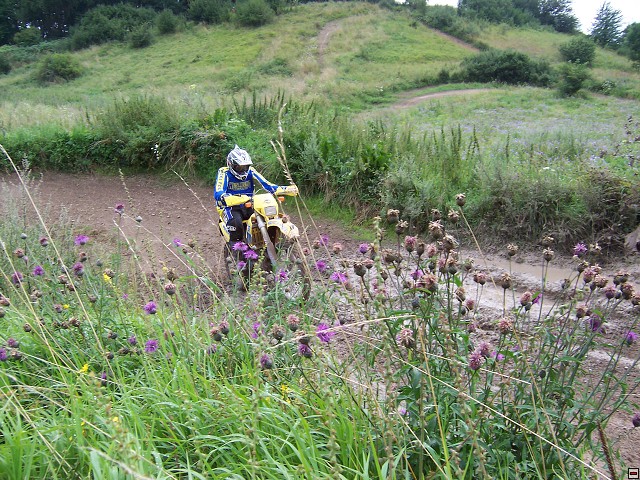 img00019.jpg