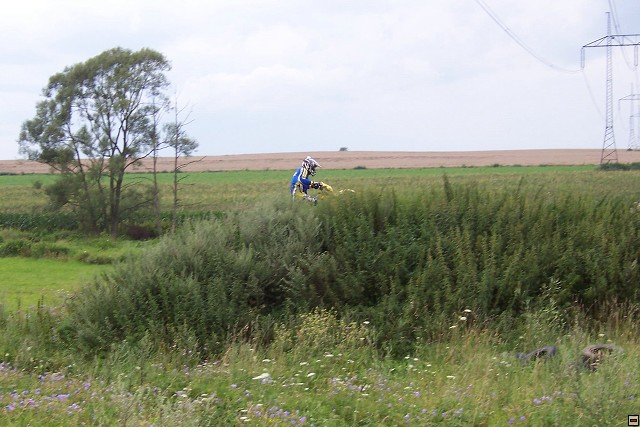 img00036.jpg