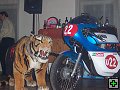 thn00037.jpg