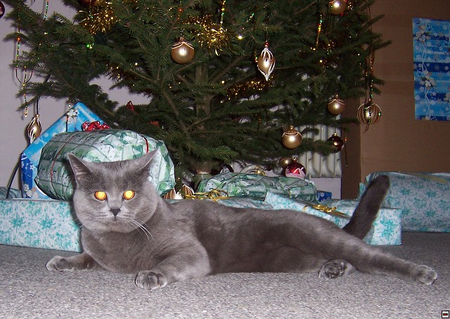 img00001.jpg
