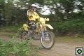 thn00067.jpg