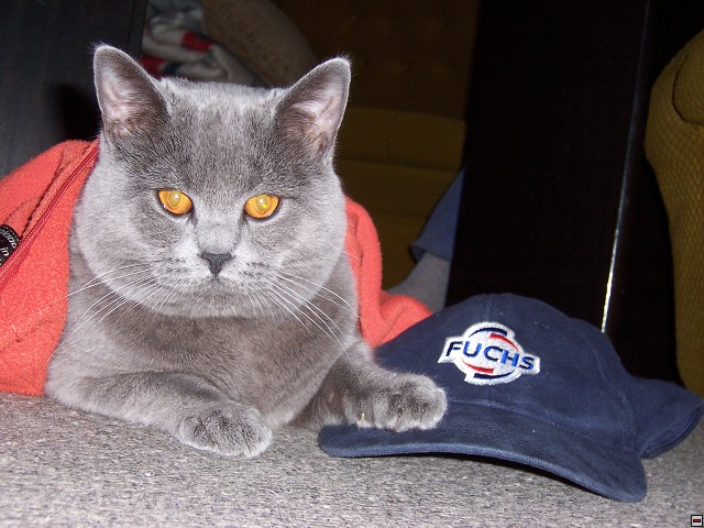 img00013.jpg