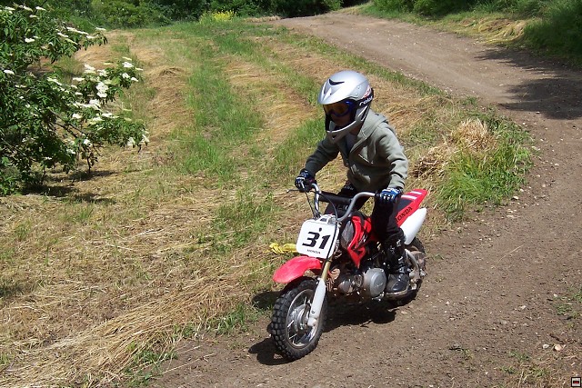 img00006.jpg
