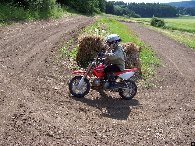 img00011.jpg