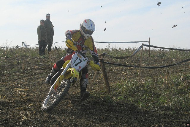 img00013.jpg