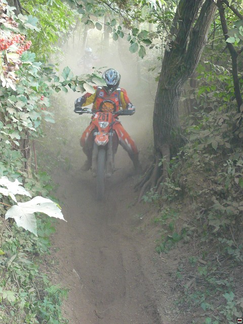 img00017.jpg