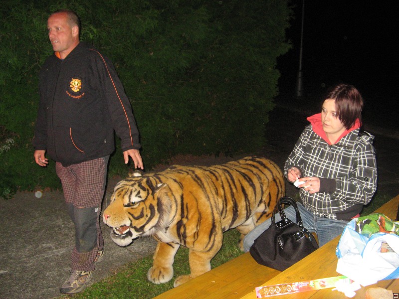 img00260.jpg