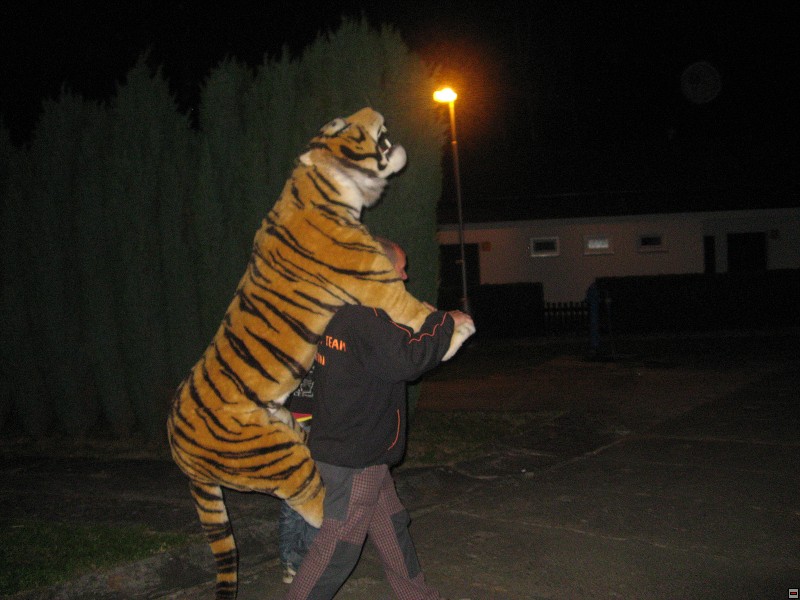 img00261.jpg