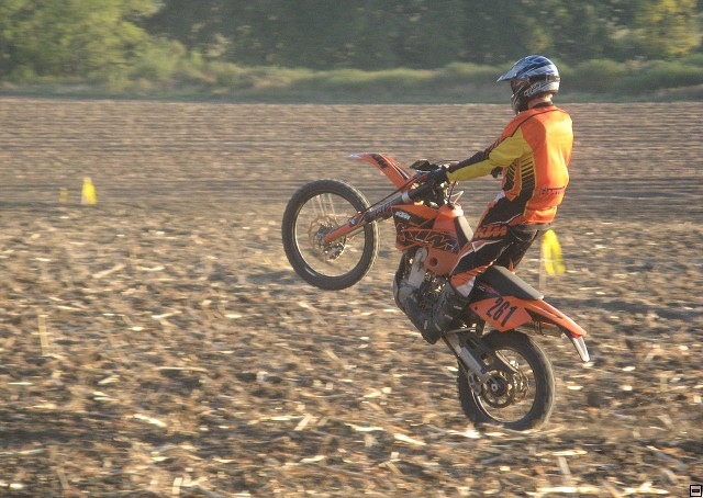 img00109.jpg