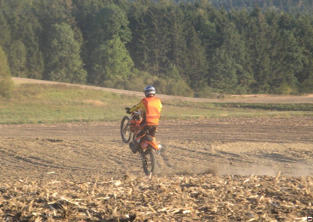 img00110.jpg